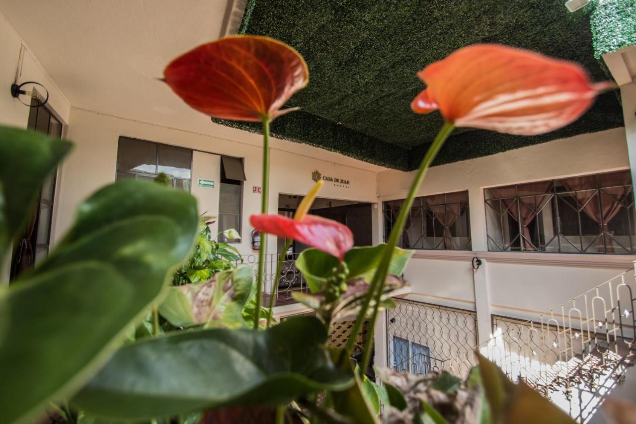 Casa De Juan Hostal خالابا المظهر الخارجي الصورة